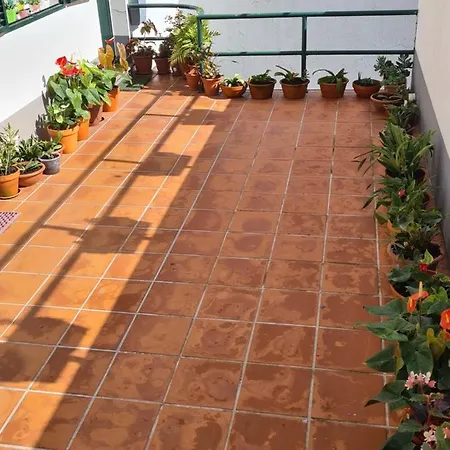 Scenic Comfort D Daire Ponta Delgada (Madeira)